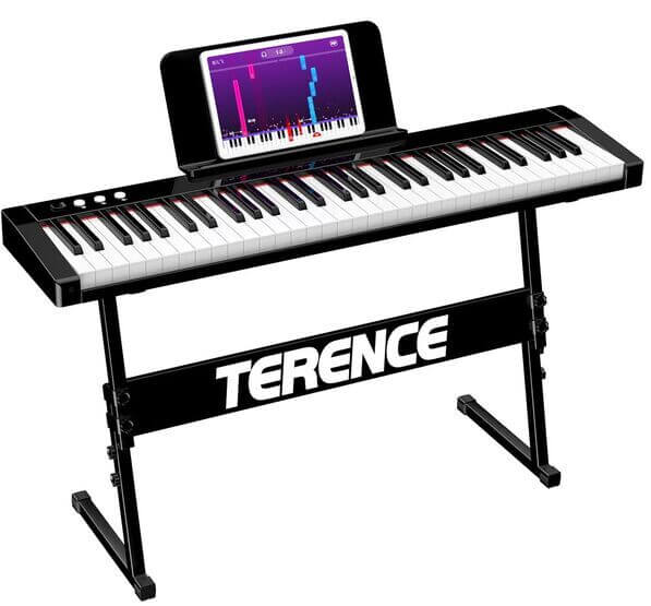 terence ts-01 keyboard piano